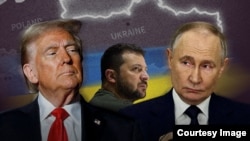 Donald Trump, Volodımır Zelenskıy, Vladimir Putin. Kollaj