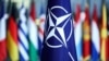 Сьцяг NATO 
