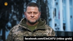 За словами адвокатки, Залужний є одним з головних свідків у справі Червінського