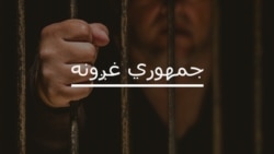 د رضا محمد رضا د نيمې پېړۍ سیاسي مبارزه