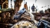 у 2013 році Олексій Юков зареєстрував пошуковий загін Асоціації дослідників військово-історичної спадщини «Плацдарм»