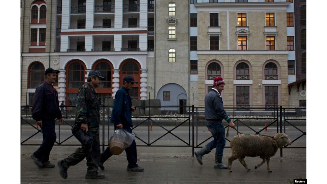 Radnici migranti vode ovcu kroz Krasnaja Poljana, u blizini južnog grada Sočija.