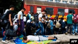 Migranți în gara de la Gevgelija, la granița dintre Macedonia și Grecia, 7 august 2015.