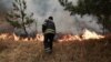 Ситуація з пожежами в Зоні відчуження та на Житомирщині поступово покращується – ДСНС