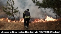 Над ліквідацією пожежі в зоні відчуження навколо Чорнобильської АЕС працюють понад 700 людей