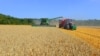 Весь світ чекає на українське зерно, експорт якого блокує російська агресія – голова МЗС