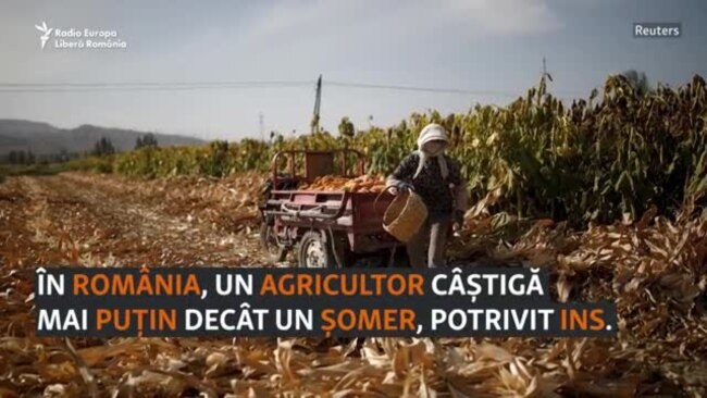 Cât câștigă și cât cheltuie românii în funcție de ce fac și unde trăiesc