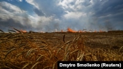 Рятувальники наголошують на небезпеці для аграріїв, оскільки частина полів досі не обстежена на наявність нерозірваних боєприпасів (фото ілюстративне)