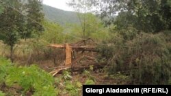 სტიქიის შედეგად დაზიანებული ხეები