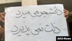 عکس تزئینی است