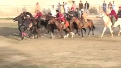 په کوټه کې د بزکشۍ سیالي شوې