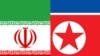دیپلمات های ایران و کره شمالی دیدار کردند