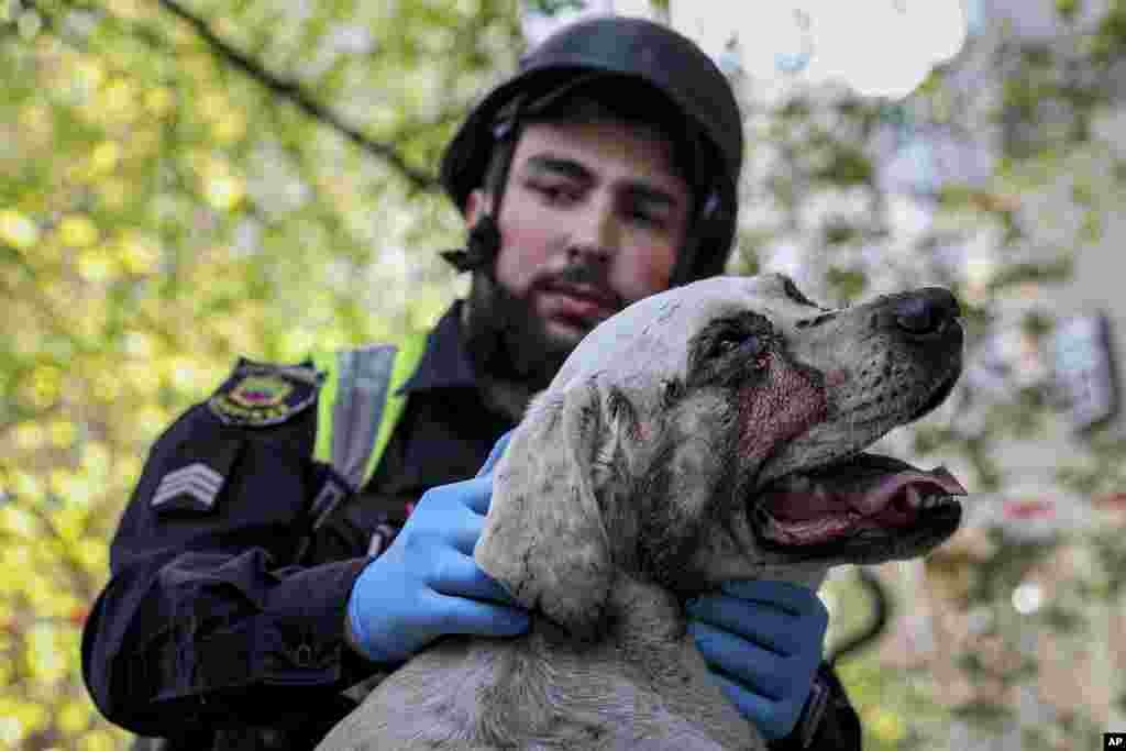 A Ukrainian police officer calms an injured dog near a multistory building that was damaged by a Russian strike on a residential neighborhood in Zaporizhzhya.