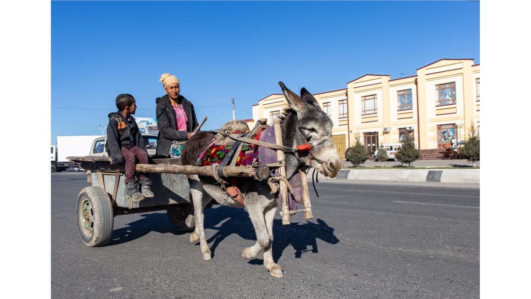 A donkey-drawn wagon in Samarkand