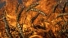 UKRAINE – A wheat field burns after Russian shelling a few kilometers from the Ukrainian-Russian border in the Kharkiv region, Ukraine, July 29, 2022