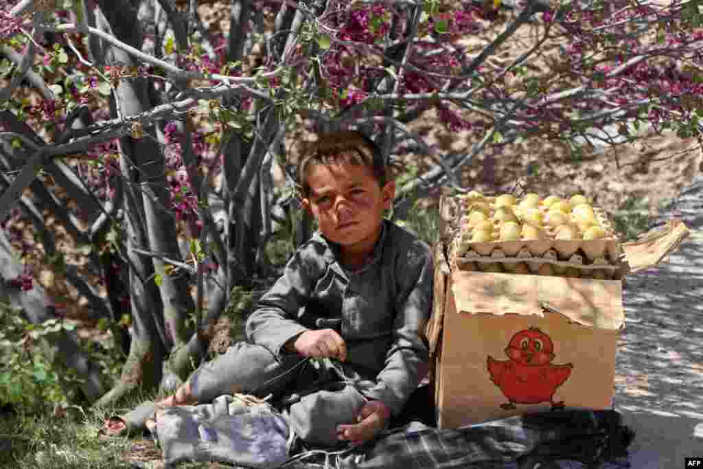 An Afghan boy selling eggs waits for customers in Charikar in Parwan Province.