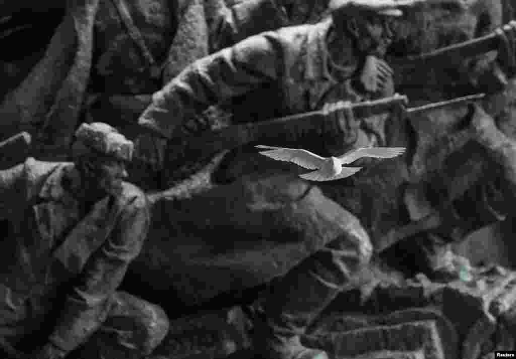 A pigeon flies in front of Soviet-era bas-relief at the National Museum of the History of Ukraine in World War II.