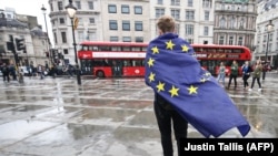 Prosvjednik se ogrnuo zastavom EU, London