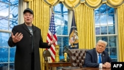 Ілон Маск (л) у кабінеті Дональда Трампа в перші тижні після обрання 47-го президента США