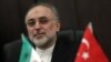 صالحی خواستار مداخله ترکیه برای آزادی گروگان‌های ایرانی در سوریه شد