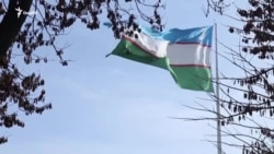 OZODNEWS: Абу-Дабида тўхтатилган футбол фанатлари | Украинага босқин: 1197-кун