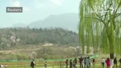 کشمیر کې د غاټول ګلانو لوی باغ پرانېستل شو