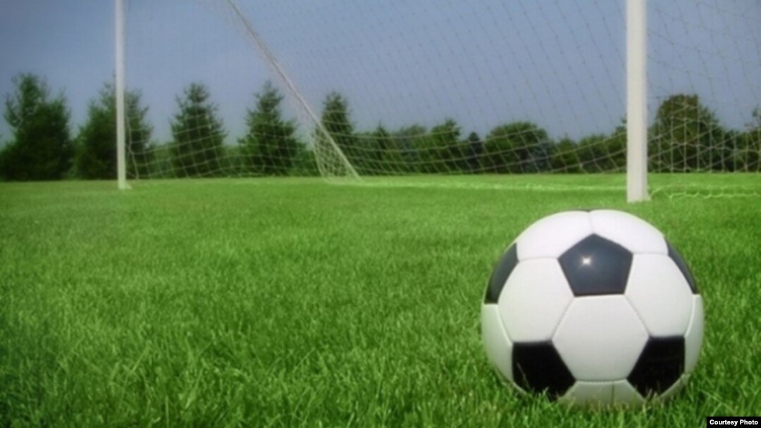 On October 14, local Labor party officials finally relented and said the artificial turf would stay.